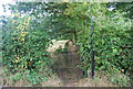 Footpath heading south off Legg's Lane in TN3 0JP