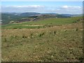 On the northern slopes of Foel Trawsnant in SA13 3HE