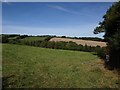 Meadow at Drummer's Well in EX6 6HQ