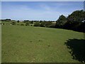 Pasture by Holewell Lane in EX6 6HN
