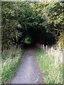 Cumbernauld's Dark Path in G67 3AR