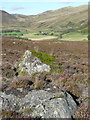 Boulders in heather in PH10 7QB