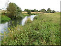 River Rother near Lower Fittleworth in RH20 1EL