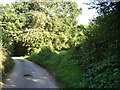 Yet another footpath junction at Bulverton in EX10 9DZ