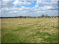 Pastures of Rectory Farm, Hannington in NN6 9SY