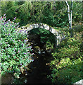 Packhorse Bridge in AB35 5UN