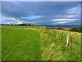 Field boundary near Tain in IV19 1PZ