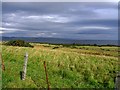Grazing land near Tain in IV19 1PZ