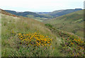 On Cefn Fannog, looking towards Abergwesyn in Powys in LD5 4TW