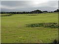 Field at Coates farm in EH26 9LF