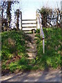 Steps to a stile in LL16 4LL