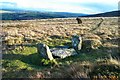 Monument to a stone circle - Dartmoor in EX20 2NH
