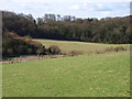 Holtspur Bottom in HP10 0NR