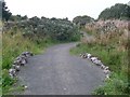 Small bridge over stream in Cathkin Braes Country Park in G45 0JA