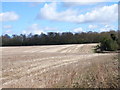 Stubble at Parsonage Farm in HP10 8PE