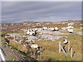 Sheep round-up near Lingreabhagh in HS3 3BA
