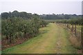 Footpath through Orchards, near Sissinghurst Castle in TN17 2AH