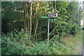 Signpost north of Toy's Hill in TN16 1PY
