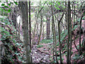 Aqueduct in the woods in BD20 0NF