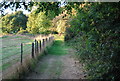 Footpath to Chartwell in TN16 1PY