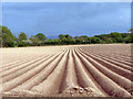 Ploughed Field in HR2 9PE