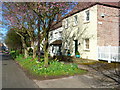 Springtime in High Street, Low Shincliffe in DH1 2QE