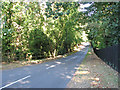 View north-west along Fox Road in Framingham Earl