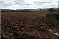 Ploughed field opposite Quarry Plantation in HR2 8BZ