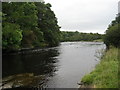 River Tees between the Forces in DL12 0XG