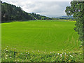 Cultivated level field on the floodplain of the Tay in PH8 0JT