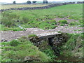 Wild Sike Bridge in DL11 7NR