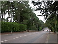 Branksome Park, Canford Cliff Road in BH13 7BP