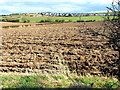 Ploughed field, Cookshold Lane, Sherburn in DH6 1ER