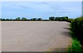 Freshly Seeded Field, Stretcholt in TA9 3RH