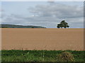 Huge Field, Bank Farm in WR6 6LS