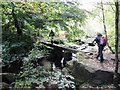 Footbridge over the Cragg Brook in HX7 5TJ