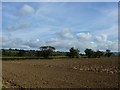 Ploughed field south of Wraxall in BA4 6RJ