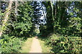 Along the Trailway in DT11 7SH