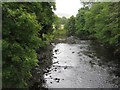 The River Rede at West Woodburn in NE48 2RN