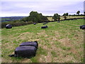 Silage bales in SA44 4RY