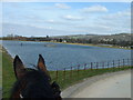 Witcombe reservoir from the Causeway. in GL3 4TS