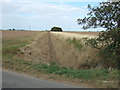Ditch north of Bailey Lane, Clenchwarton in PE34 4BA