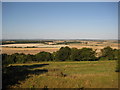 View north from the ramparts of Danebury fort in SO20 8EA