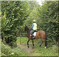 2009 : Opening a gate with a horse in SN11 9HF