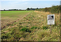 An uncultivated strip between two fields in Somerleyton, Ashby and Herringfleet