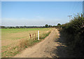 The Angles Way from Somerleyton to Ashby in Somerleyton, Ashby and Herringfleet