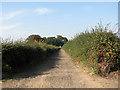 To Market Lane on the Angles Way in Somerleyton, Ashby and Herringfleet