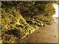 Rocky roadside by the Avon estuary in TQ7 4AL