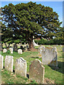 St Mary's church - churchyard in NR32 5AW
