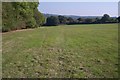 Footpath beside Sandfield Wood in TN17 1HG